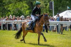 20240615-122304-stromsholm-20240615-ponny-180