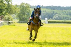 20240615-122308-stromsholm-20240615-ponny-183