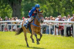 20240615-122309-stromsholm-20240615-ponny-187