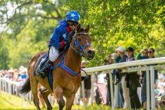 20240615-122310-stromsholm-20240615-ponny-188
