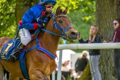 20240615-122310-stromsholm-20240615-ponny-190