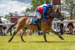 20240615-122310-stromsholm-20240615-ponny-192
