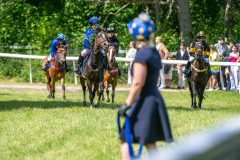 20240615-122357-stromsholm-20240615-ponny-194