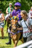 20240615-122419-stromsholm-20240615-ponny-201