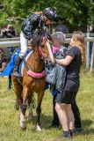 20240615-122437-stromsholm-20240615-ponny-204
