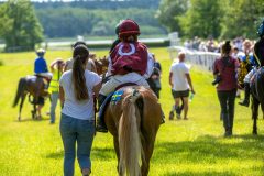20240615-122444-stromsholm-20240615-ponny-205