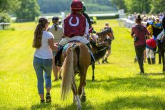 20240615-122445-stromsholm-20240615-ponny-206