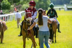 20240615-122452-stromsholm-20240615-ponny-208