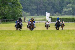 20240615-132949-stromsholm-20240615-ponny-213
