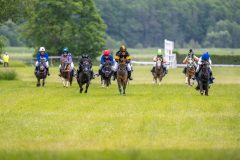 20240615-132953-stromsholm-20240615-ponny-214