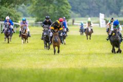 20240615-132955-stromsholm-20240615-ponny-215