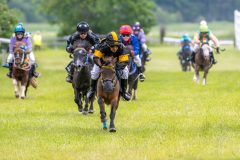20240615-132956-stromsholm-20240615-ponny-216