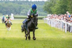 20240615-132958-stromsholm-20240615-ponny-219