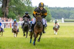 20240615-132959-stromsholm-20240615-ponny-221