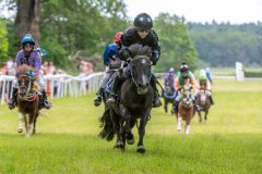 20240615-133000-stromsholm-20240615-ponny-223