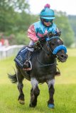 20240615-133011-stromsholm-20240615-ponny-227
