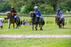 20240615-133103-stromsholm-20240615-ponny-228