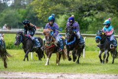 20240615-133104-stromsholm-20240615-ponny-229