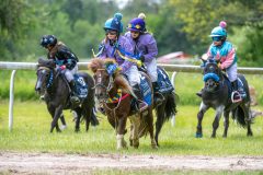 20240615-133105-stromsholm-20240615-ponny-230