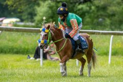 20240615-133107-stromsholm-20240615-ponny-231
