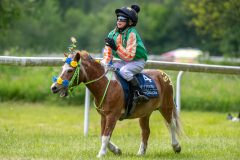 20240615-133108-stromsholm-20240615-ponny-233