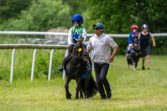 20240615-133110-stromsholm-20240615-ponny-234