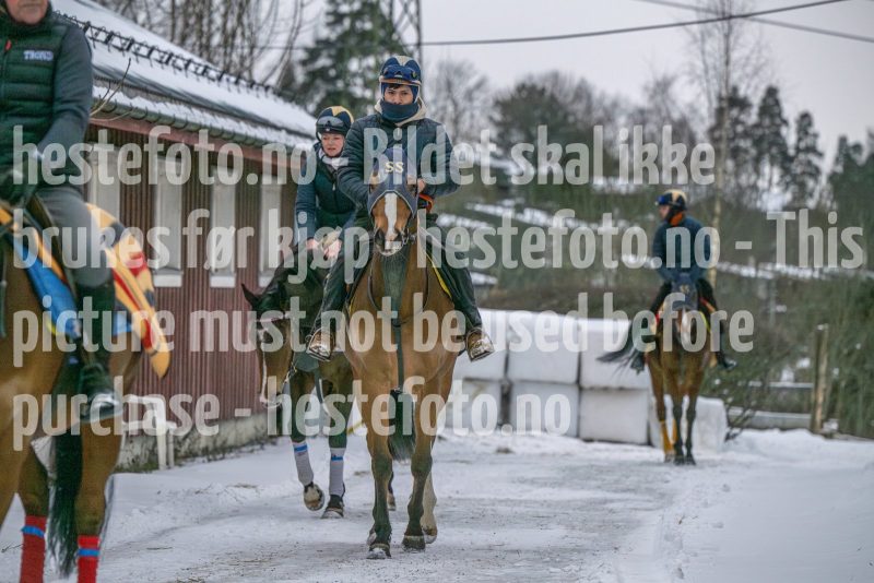 20260207-100102-DSC_2096