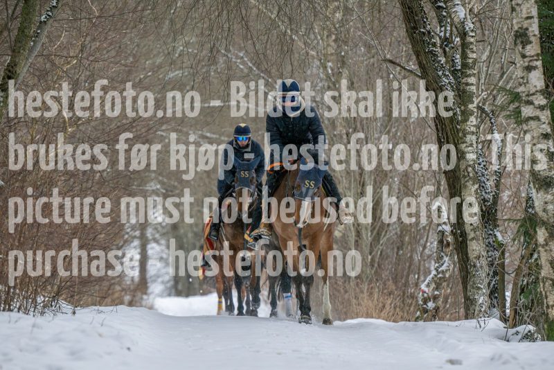 20260207-102432-DSC_2547