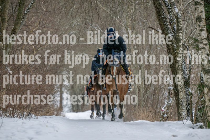 20260207-102432-DSC_2552