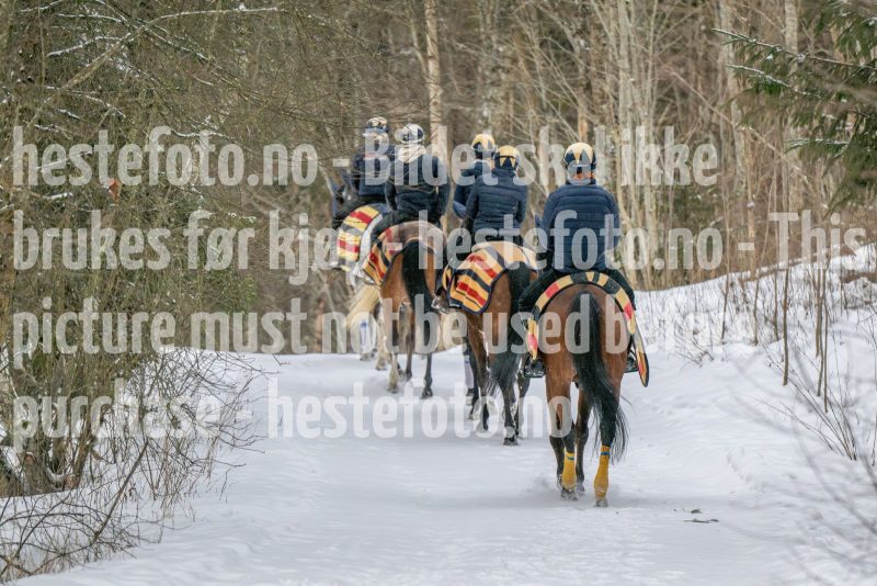 20260207-102505-DSC_2732