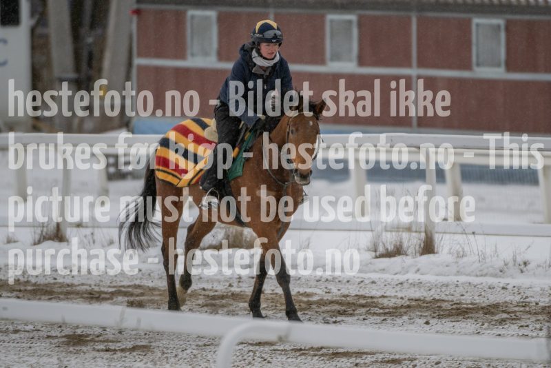 20260207-123819-DSC_3063