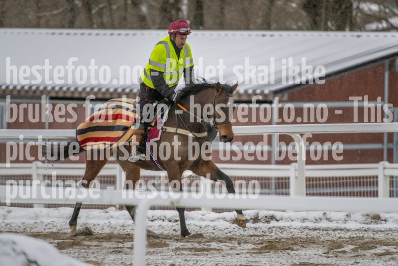 20260207-123952-DSC_3246