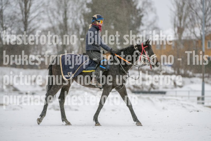 20260207-124311-DSC_3624