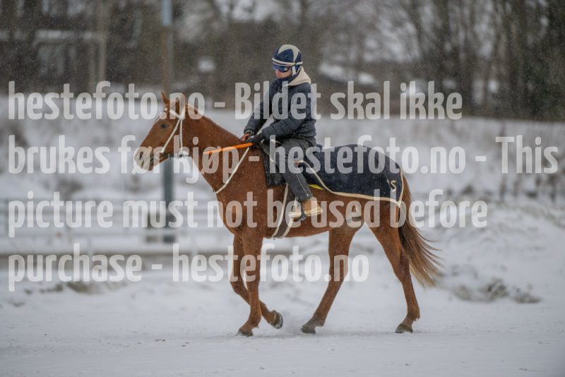 20260207-124428-DSC_3841