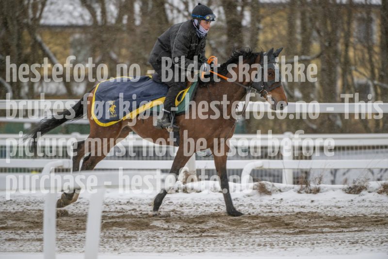 20260207-124457-DSC_3897