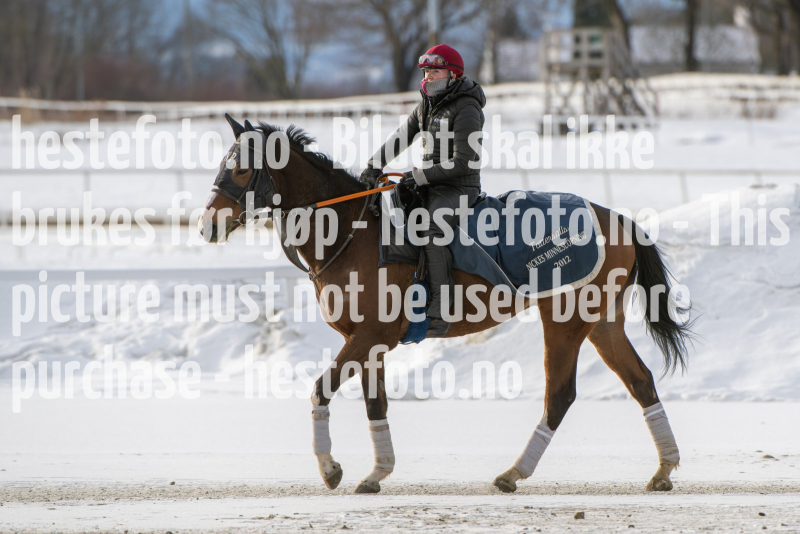 20240210-125808-DSC_3239