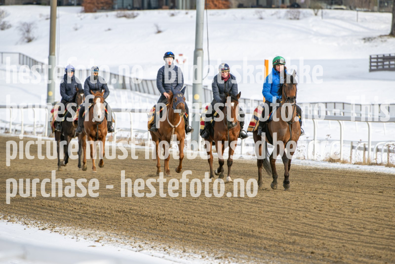 20240210-130001-DSC_3309