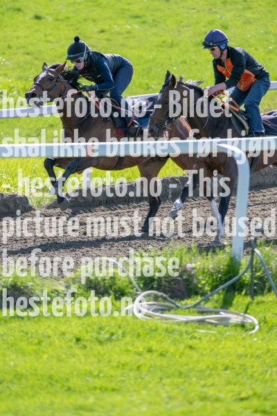 20240511-092747-DSC_6832-Forbedret-NR