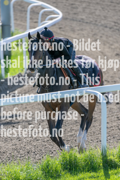 20240511-092837-DSC_7051-Forbedret-NR