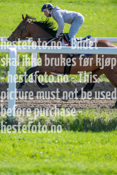20240511-094336-DSC_7754-Forbedret-NR