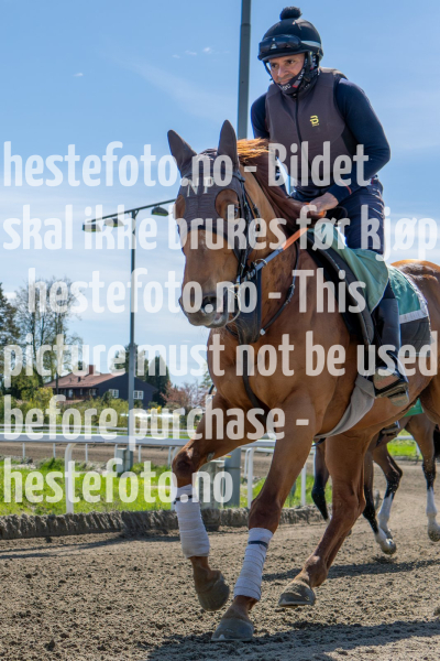 20240511-123425-YNE00769-Forbedret-NR