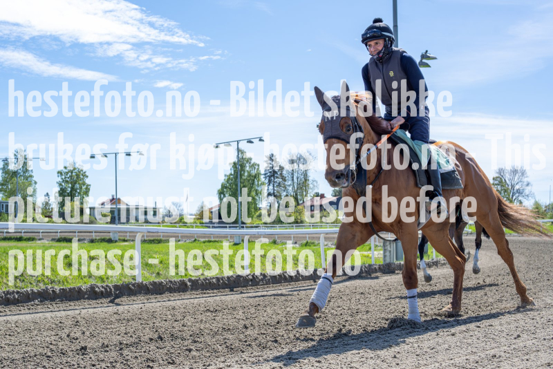 20240511-123429-DSC3368-Forbedret-NR