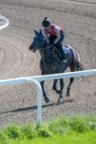 20240511-111952-DSC_8568