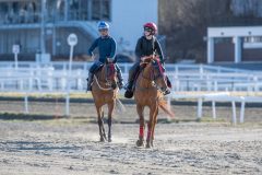 20250412-092355-DSC4828