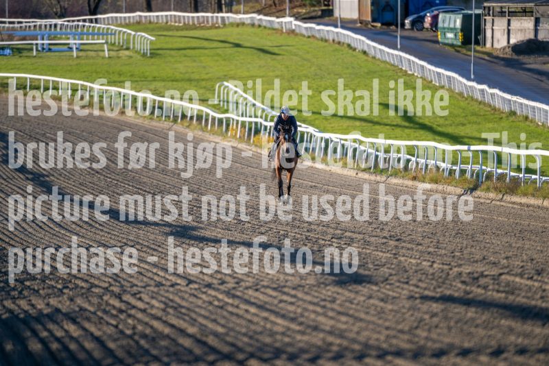 20241116-105555-2024-11-16-23-18-20-37