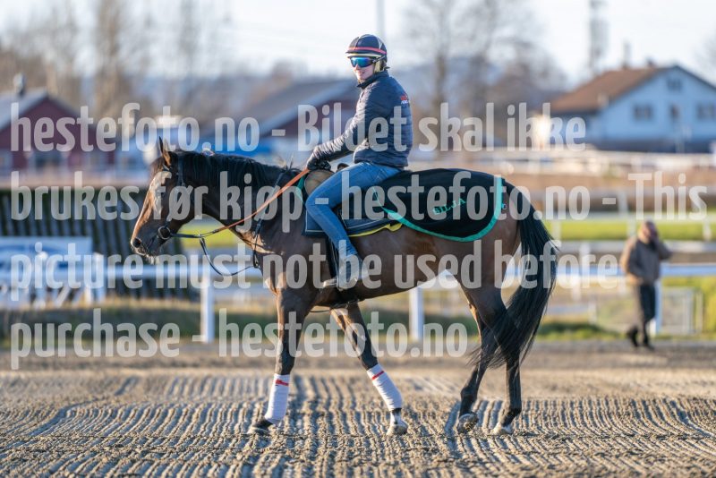 20241116-105941-2024-11-16-23-18-24-53