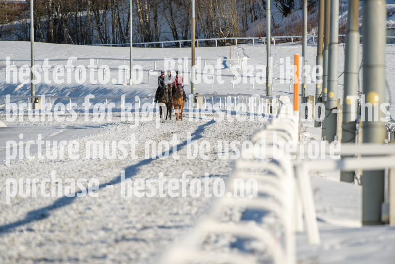 20240217-121606-DSC_4008
