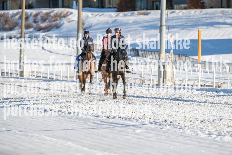 20240217-121642-DSC_4040