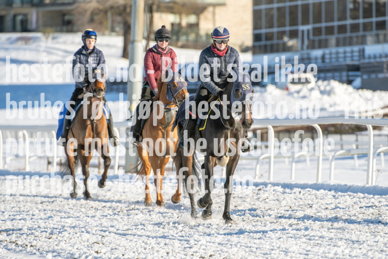 20240217-121653-DSC_4062