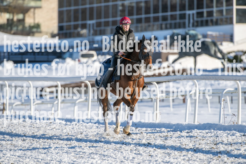 20240217-122157-DSC_4233